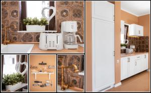 Apartament Alexandru Neptun Private Suites