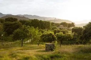 Los Chozos del Geoparque - Guadalupe