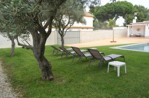 EL ENCANTO Chiclana