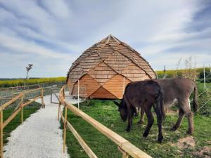 Sejours a la campagne La Ferme de la loge : photos des chambres