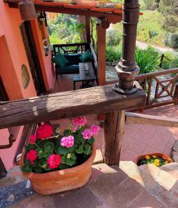 villetta dei fichi dIndia