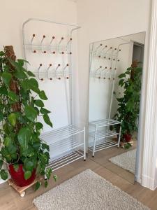 welcome home, best price , fast wlan, Netflix, washing, drying, big tv, space, free parking, 4big rooms 100m2, nice smoking place outside come on, try out and visit us