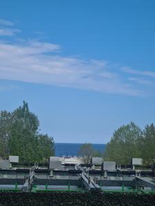 Studio Ayan Mamaia