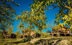 Lodge Holidays - Pian di Boccio