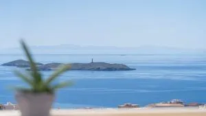 Tarik Home live traditional - 阿诺锡罗斯