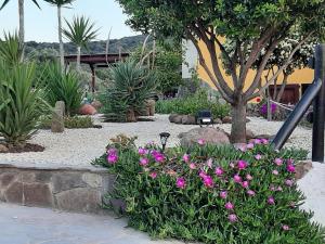 Villa Saige , piscina con idromassaggio img94