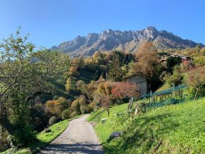 La casa del bosco