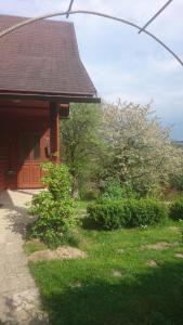 Chata s bazénem Bozkov