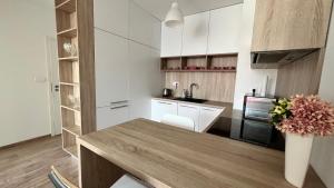 2 room apartment with terrace, Prievozska street