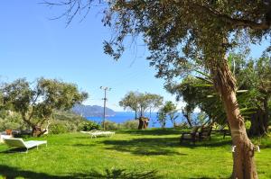 House Lemoni, Apartment B - Pelekas, Corfu