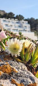 Appartements Residences Sopramare : photos des chambres