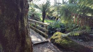 Rustic Hut Bush Retreat