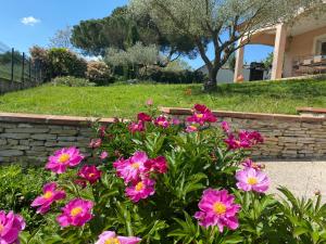 Appartements Gite du Mercadal Les Pujols : photos des chambres