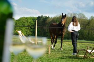 Maisons de vacances Tiny House Centre equestre - 35 mins de Paris : Maison 1 Chambre