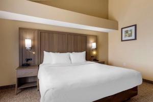Comfort Suites DFW Airport