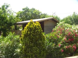 Chalets Chalet d'une chambre avec jardin clos et wifi a Roquebrune sur Argens : photos des chambres