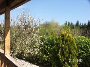 Chalets Chalet d'une chambre avec jardin clos et wifi a Roquebrune sur Argens : photos des chambres