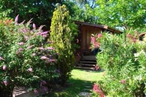 Chalets Chalet d'une chambre avec jardin clos et wifi a Roquebrune sur Argens : photos des chambres