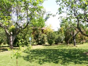 Chalets Chalet d'une chambre avec jardin clos et wifi a Roquebrune sur Argens : photos des chambres