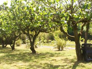 Chalets Chalet d'une chambre avec jardin clos et wifi a Roquebrune sur Argens : photos des chambres