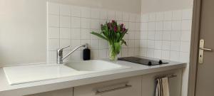 Appartements Bien agence, cosy et calme, joli petit appart! : photos des chambres
