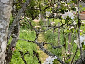 Maisons de vacances Gite Wildflower Lane : photos des chambres