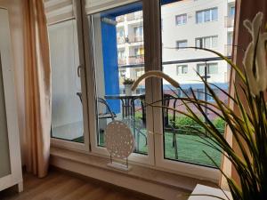 Apartament Mewa z balkonem Rybacka B18