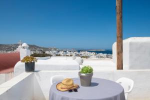 Hibiscus Rosa Mykonos Town Best Location
