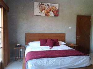 Araya villa saba