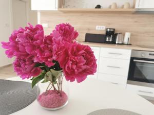 Royal Fort - Minčeta