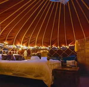 Orchard View Yurt & Hot Tub Somerset - 洛克斯顿