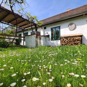 Landhaus Nitsch Appartement - Gästehaus Nitsch Appartement