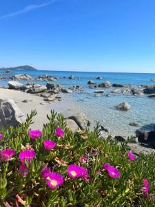 VILLA STELLA fronte mare Porto Frailis img36