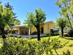 La Maliciosa - 莫拉尔萨尔萨尔