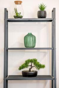 NEW LindustrILL au cœur De lAlsace