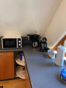 Kleines Haus Silberdistel