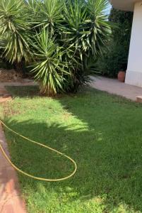 VIlla Sunlight Sardegna img43