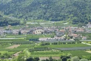 la farfalla di Susà - Vignola