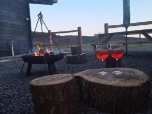 1 Bed Cabin in the Magical Galloway Forest Park