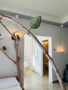 Villa Maria Luxury Suites