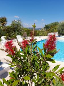 Maisons de vacances Gite provencal independant avec piscine chauffee : LE SUY BIEN : photos des chambres