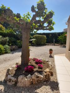 Maisons de vacances Gite provencal independant avec piscine chauffee : LE SUY BIEN : photos des chambres