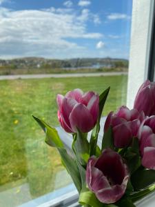 No 2 The Cairns, Unwind in Style