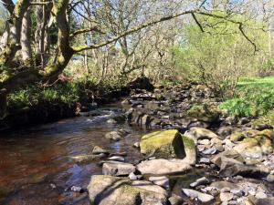 Belford House Self Check-in Rooms & Apartments