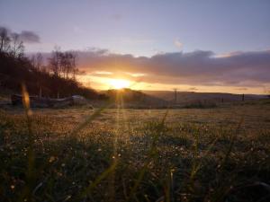 Belan Bluebell Woods Shepherds Hut