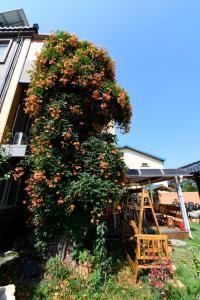 Dasomchae Hanok stay