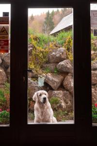 Pension Conacul Vanatorului