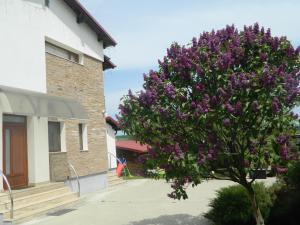 MIRANA-Marginimea Sibiului