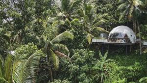 Lintang Luku Tent Resort Ijen, Banyuwangi