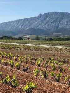 B&B / Chambres d'hotes Domaine Mas Terra : Chambre Double - Vue sur Montagne